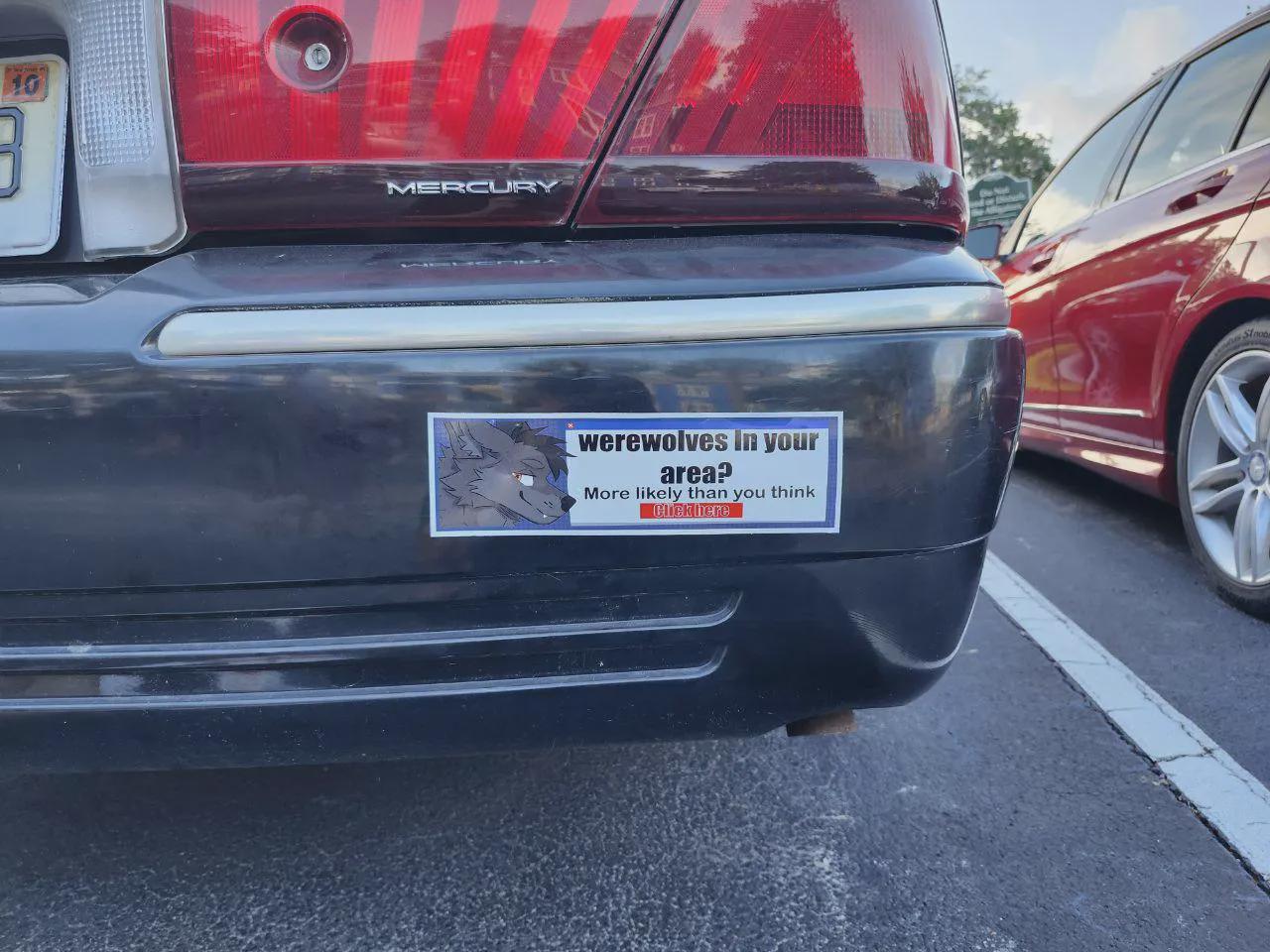 Werewolves in Your Area