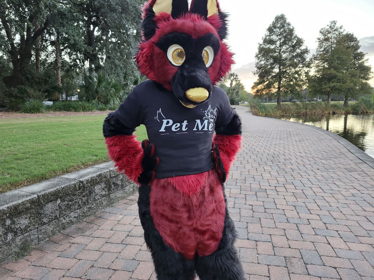 Pet Me