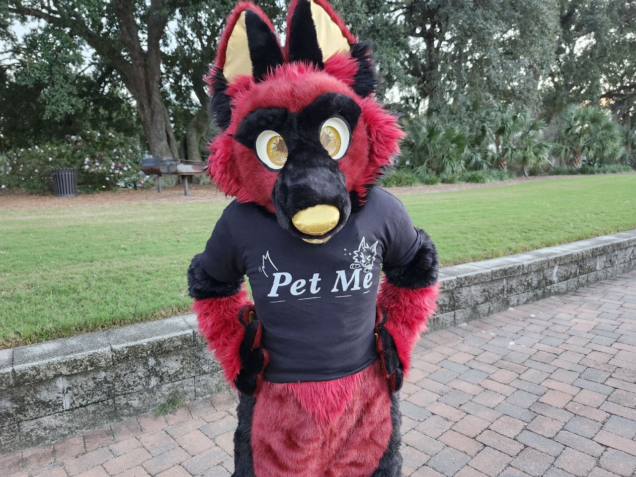 Pet Me