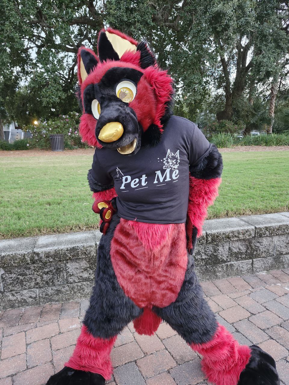 Pet Me
