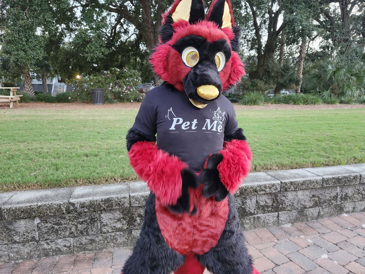 Pet Me