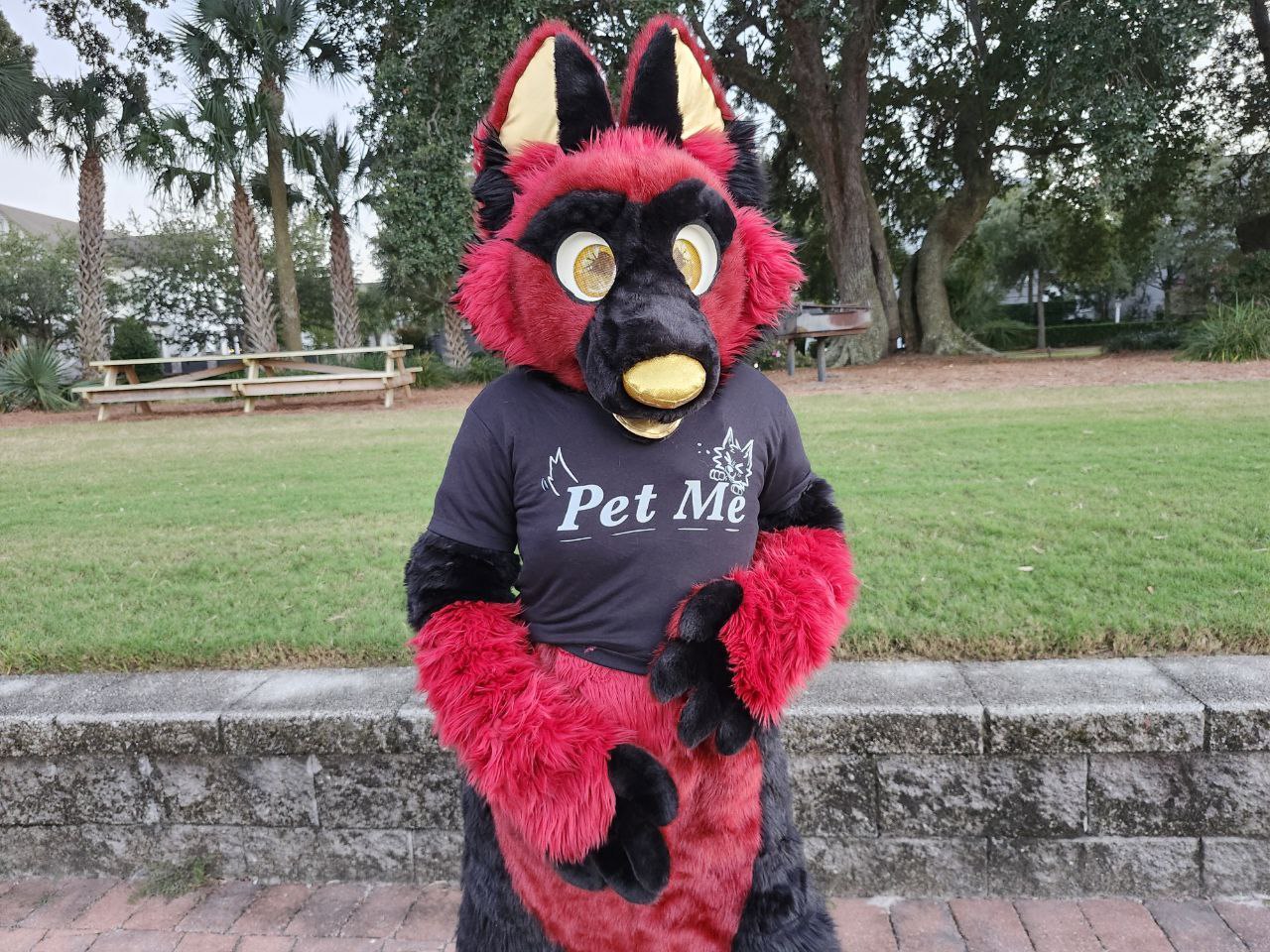Pet Me