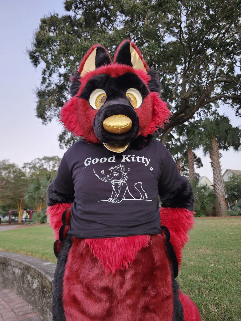 Good Kitty