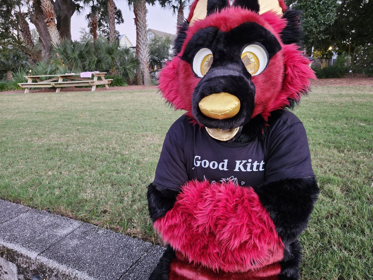 Good Kitty