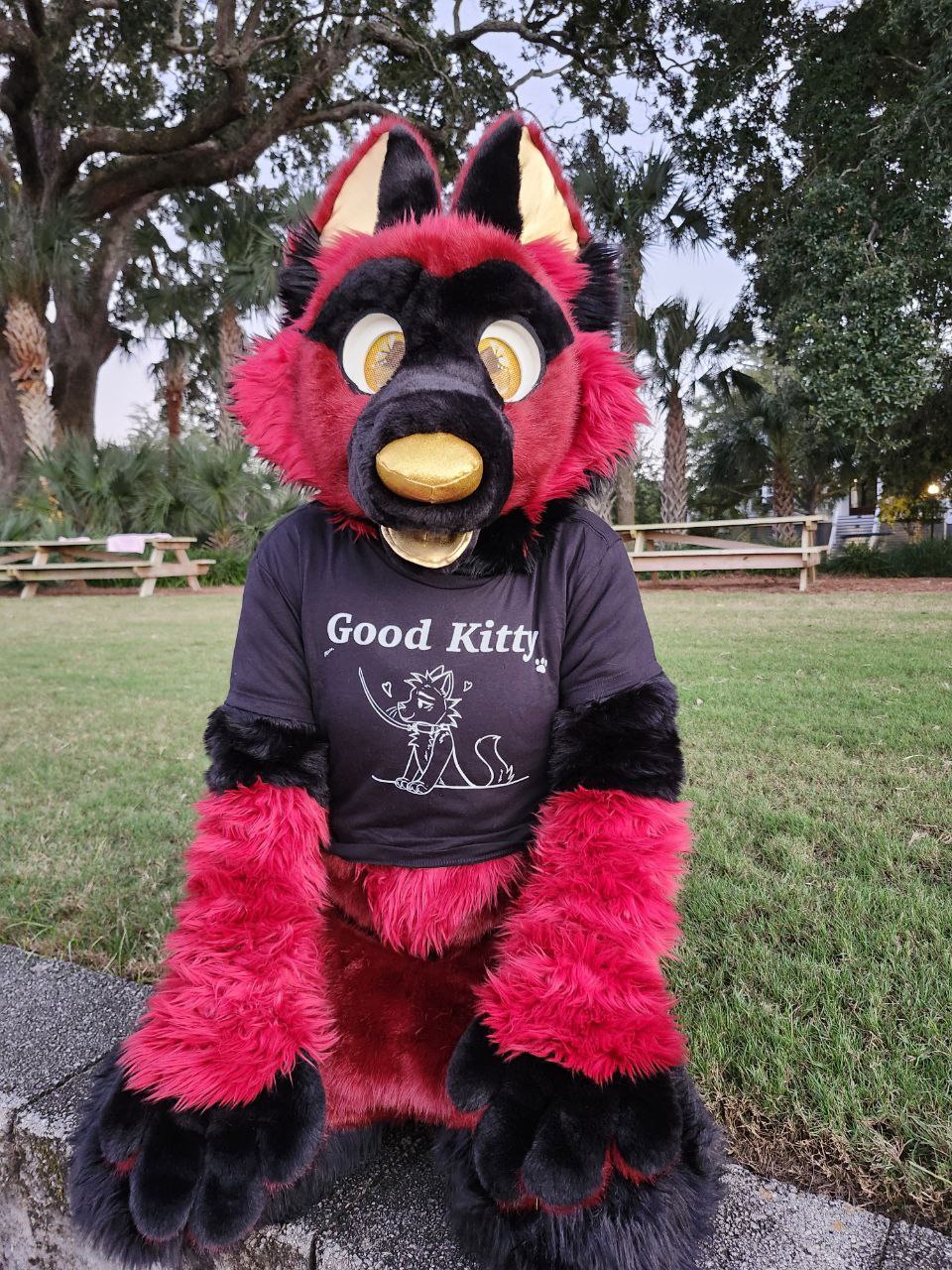 Good Kitty