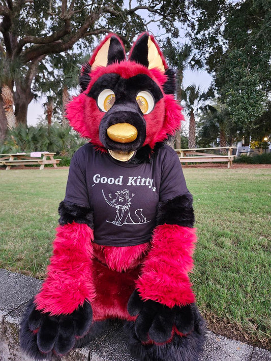 Good Kitty